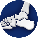 Foot & Ankle