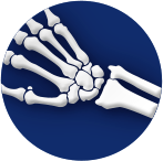 Hand & Wrist