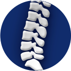 Neck, Spine & Back